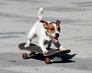 Via laweekly.com